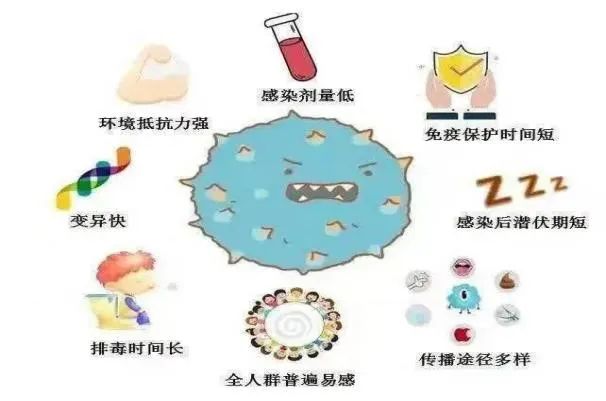 意昂官网图片