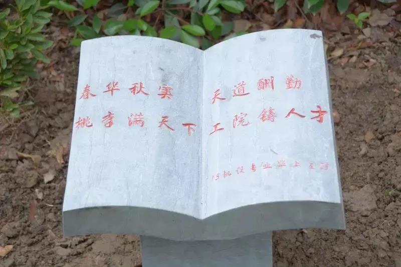意昂动态图片