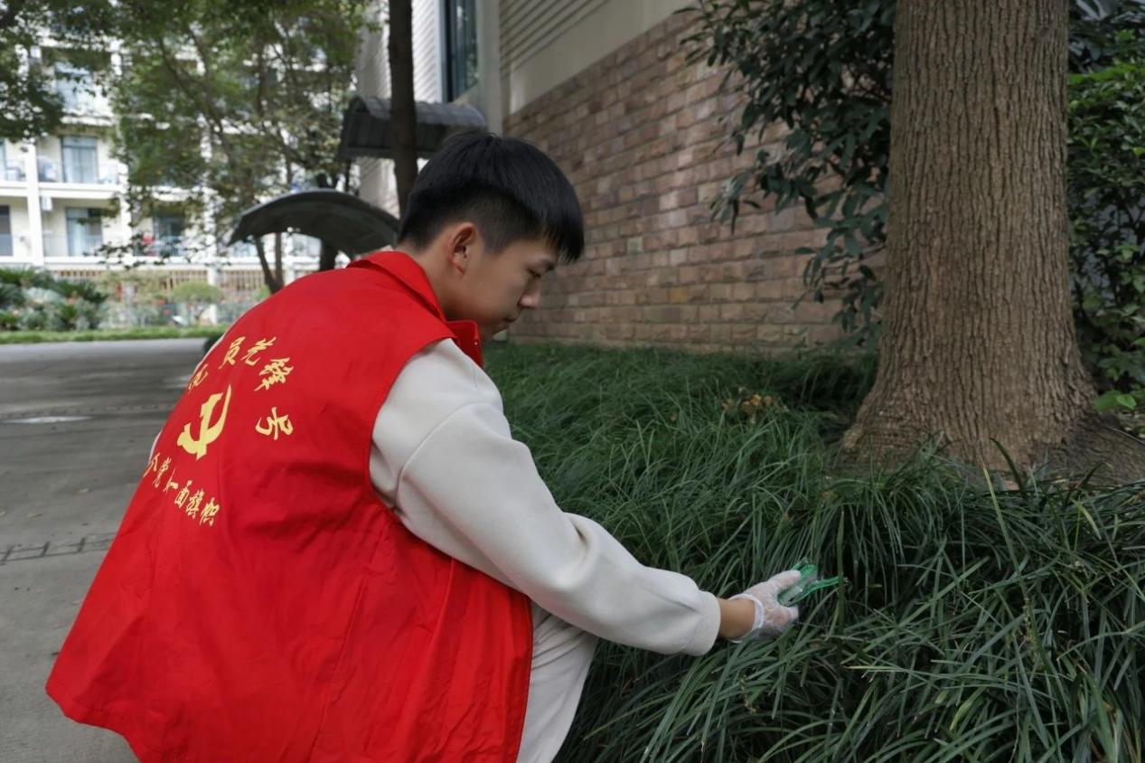 意昂官网图片