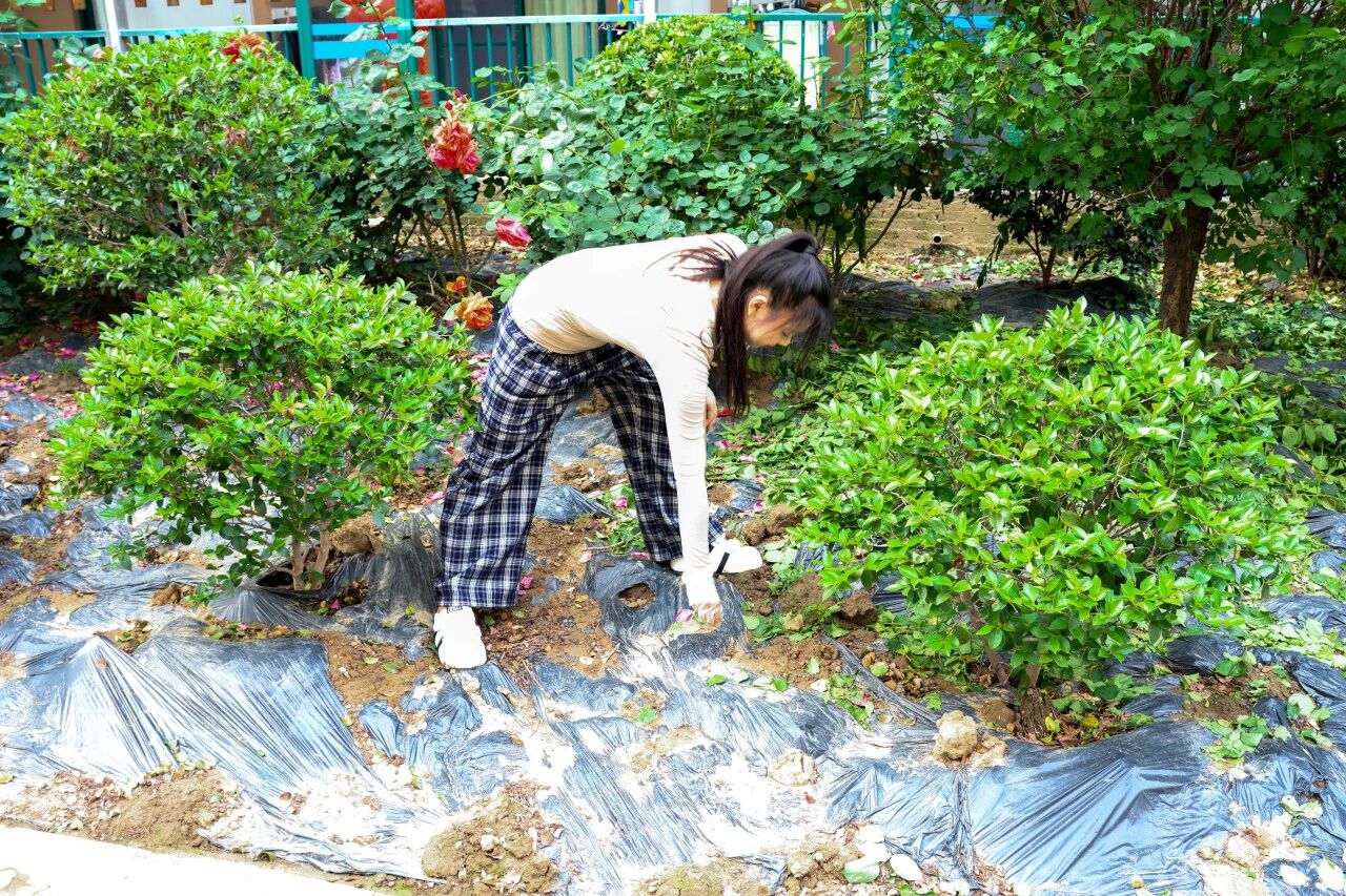 意昂平台图片