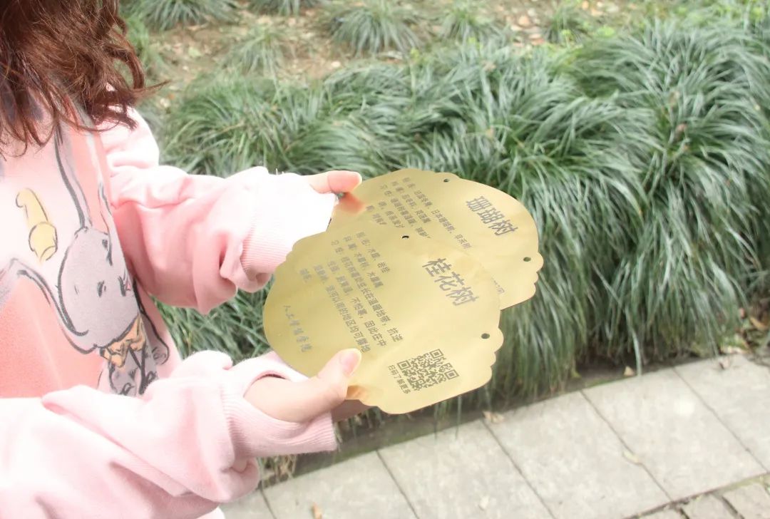 意昂杯赛图片