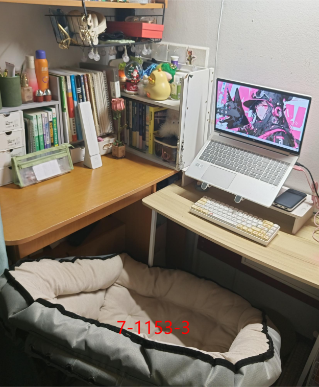 意昂赛事图片