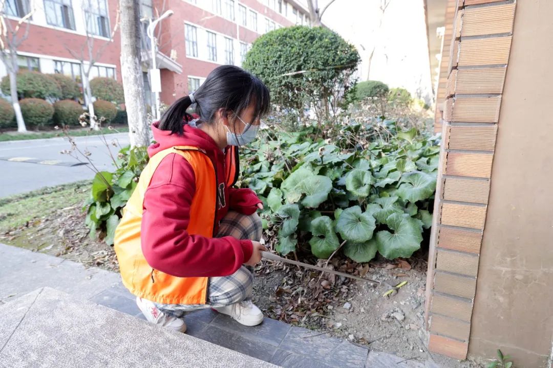意昂意昂平台图片