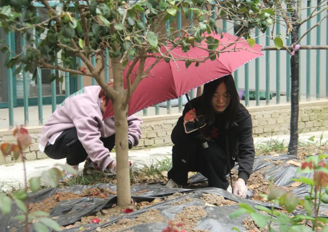 意昂联赛图片
