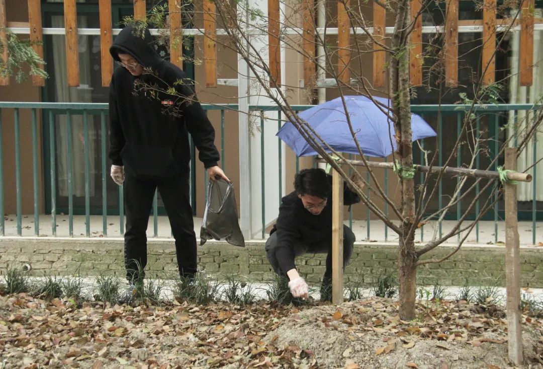 意昂官网图片