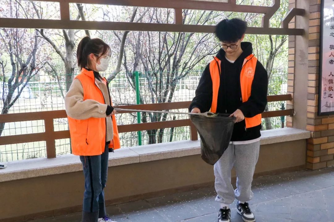 意昂荣耀图片