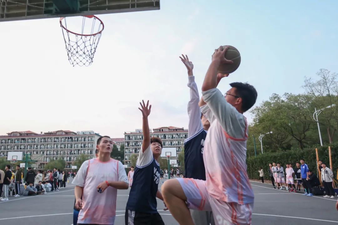 意昂资讯图片