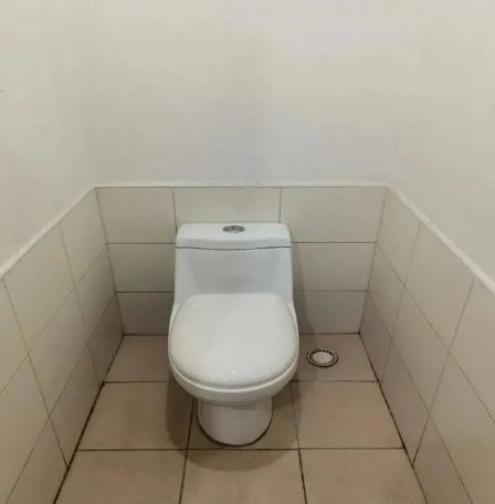 意昂平台图片