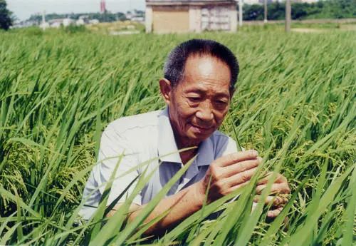 意昂平台图片