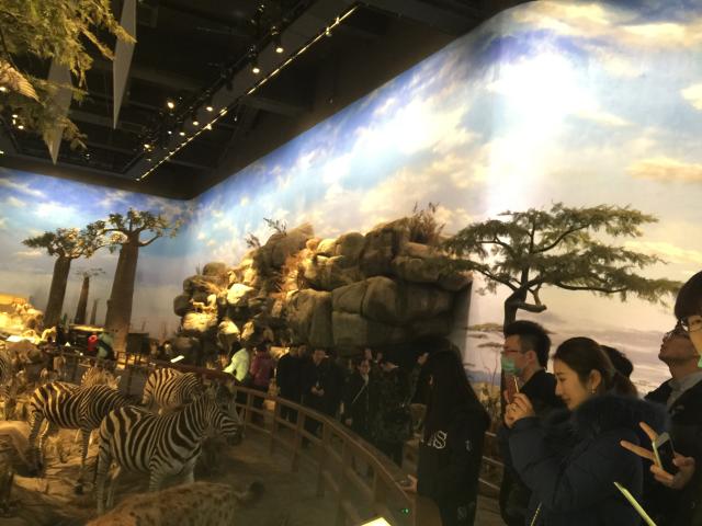 意昂新闻图片