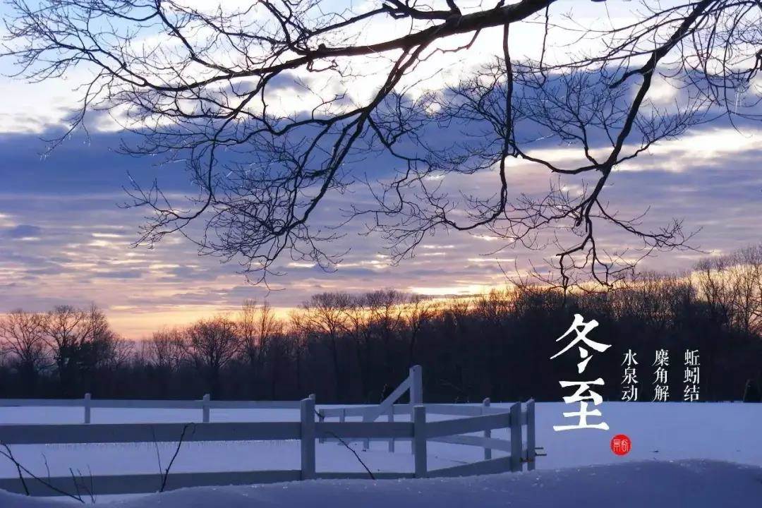 意昂风采图片