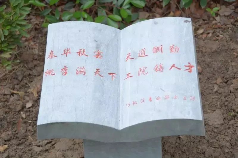 意昂冠军图片