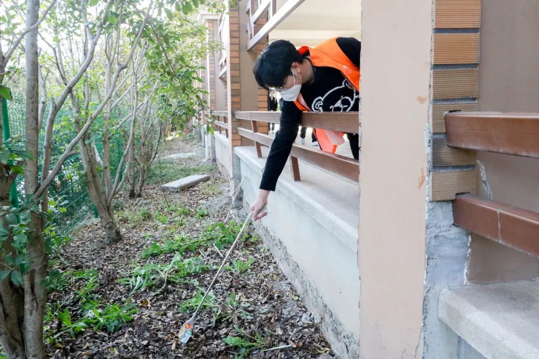 意昂手机版图片