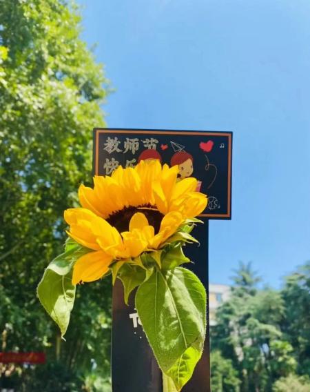意昂官方网站图片