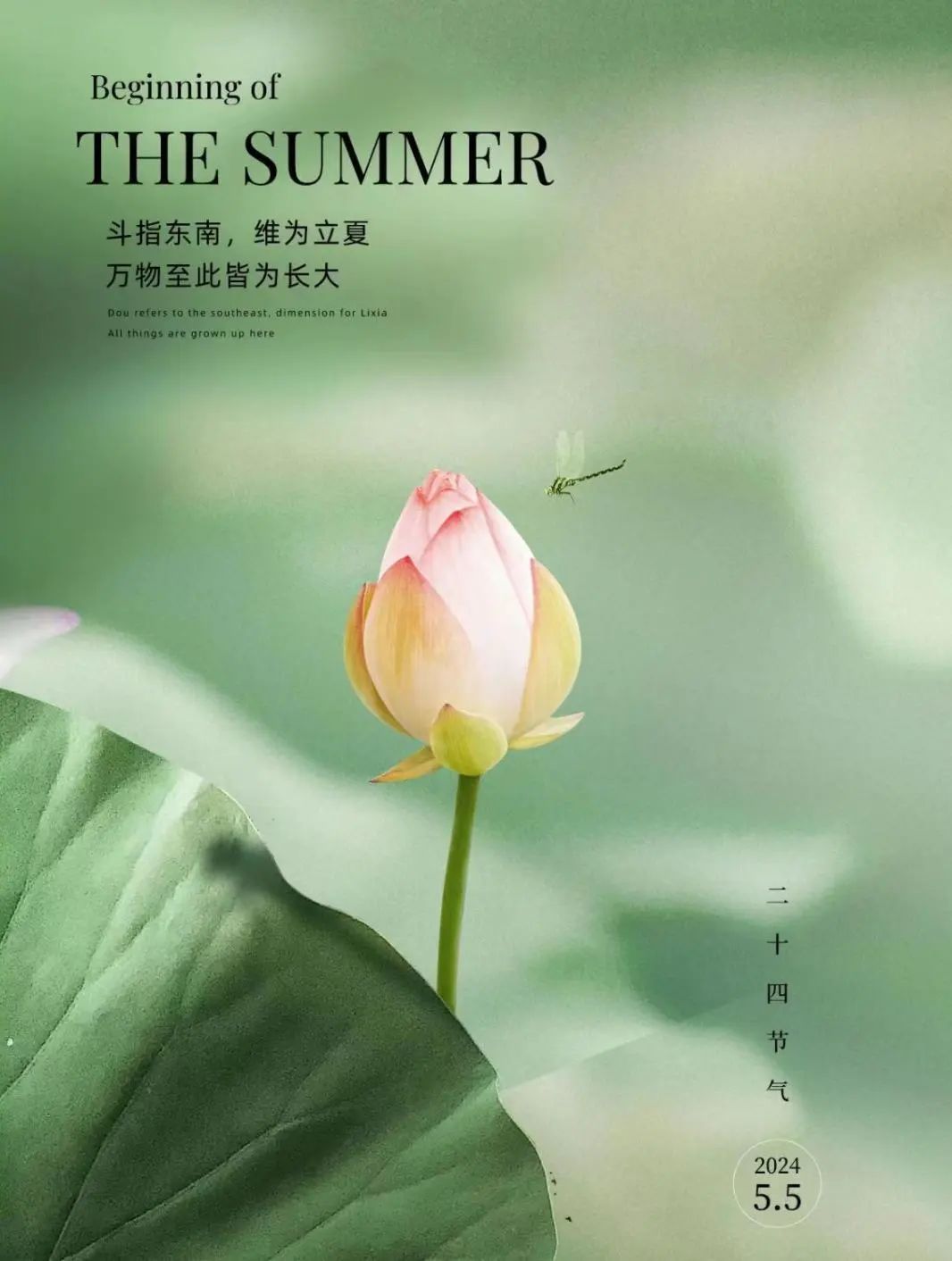 意昂赛事图片