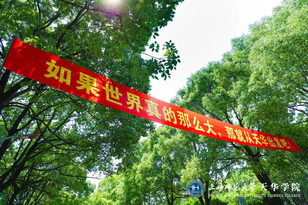 意昂动态图片